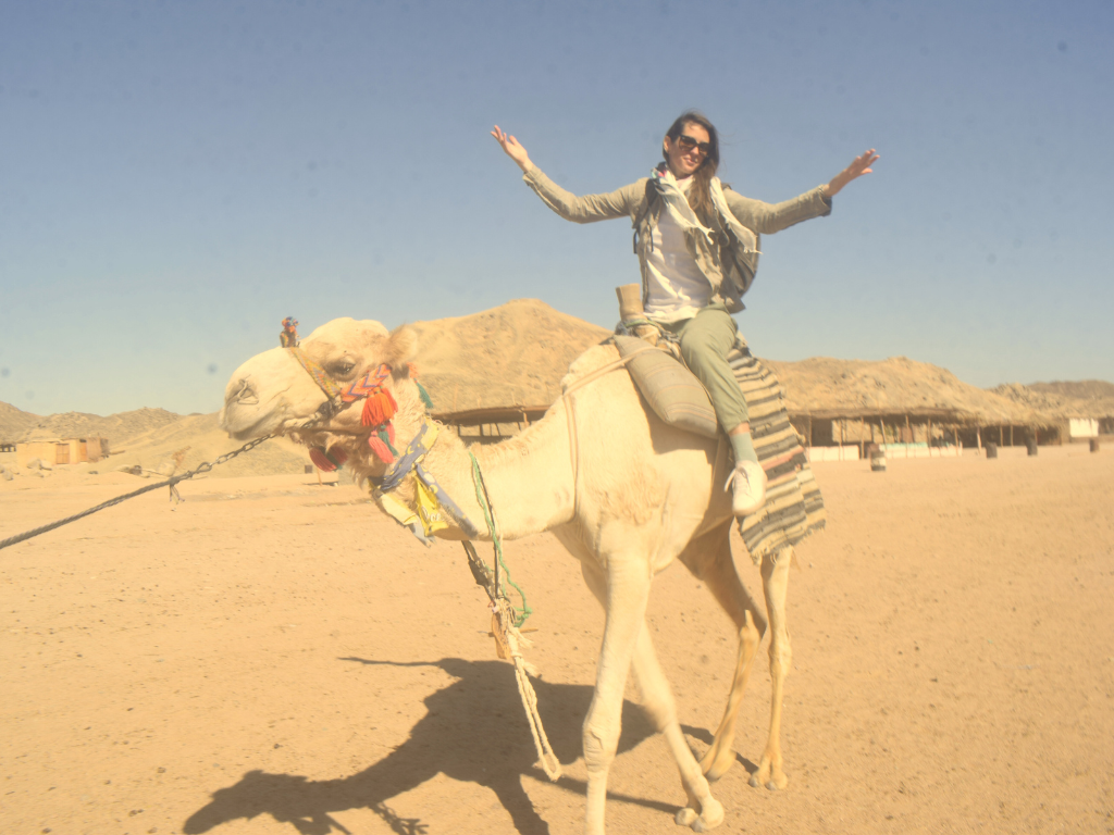 V Egiptu ne gre brez kamele.